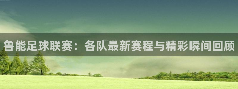 鲁能足球联赛：各队最新赛程与精彩瞬间回顾