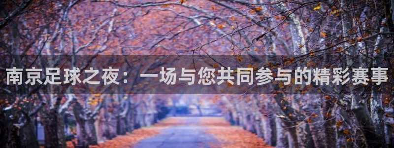 南京足球之夜：一场与您共同参与的精彩赛事