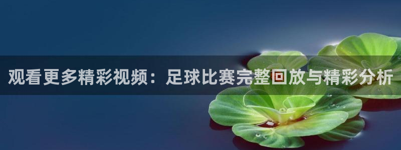  观看更多精彩视频：足球比赛完整回放与精彩分析