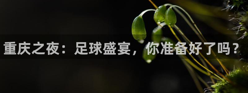  重庆之夜：足球盛宴，你准备好了吗？