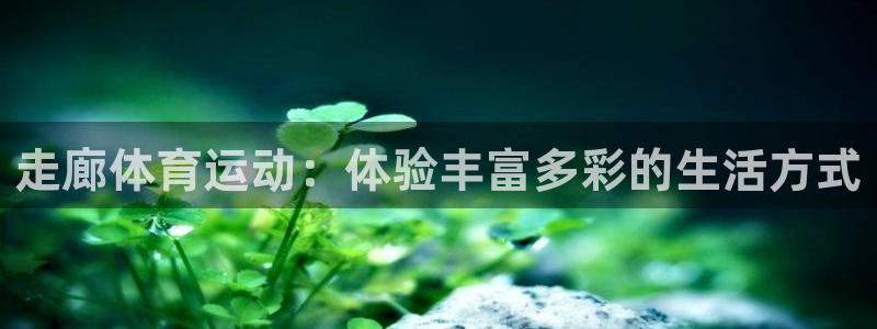 678体育知识：走廊体育运动：体验丰富多彩的生活方式