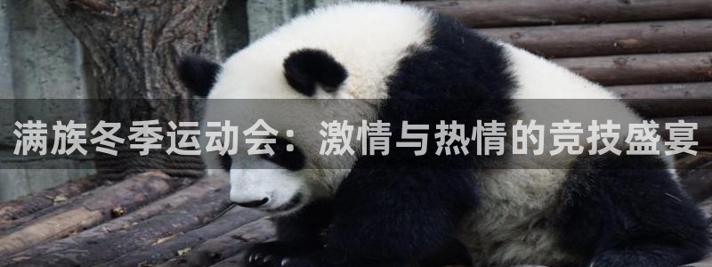 678体育：满族冬季运动会：激情与热情的竞技盛宴