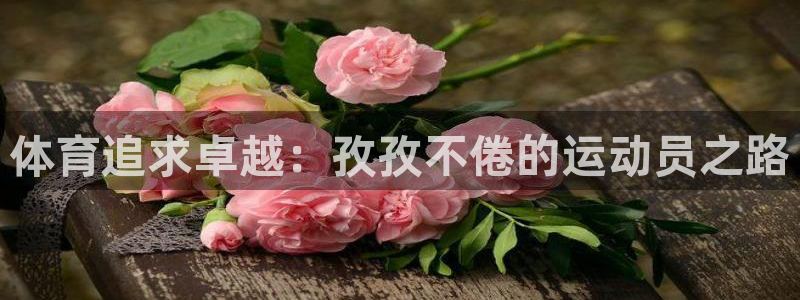 678体育官网：体育追求卓越：孜孜不倦的运动员之路