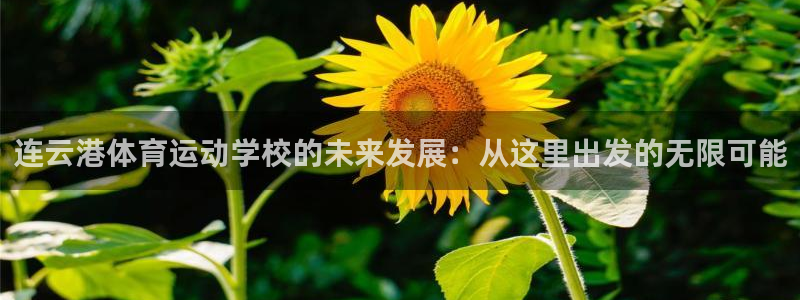 678体育