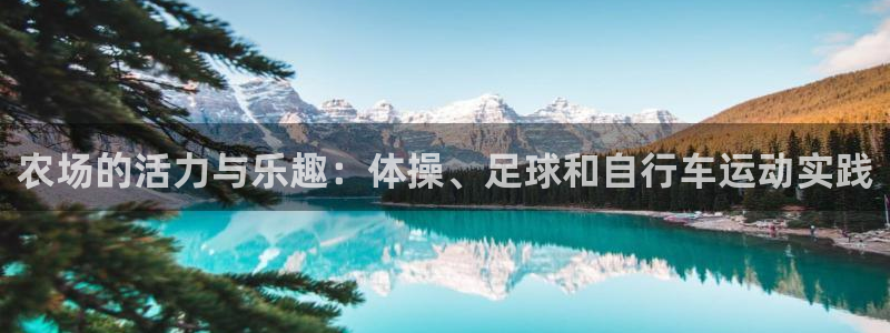 678体育官网地址