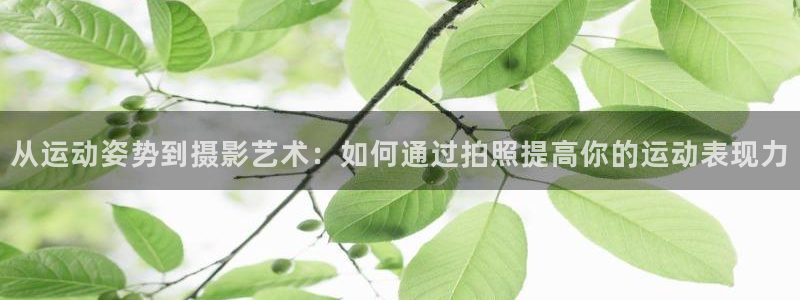 678体育知识