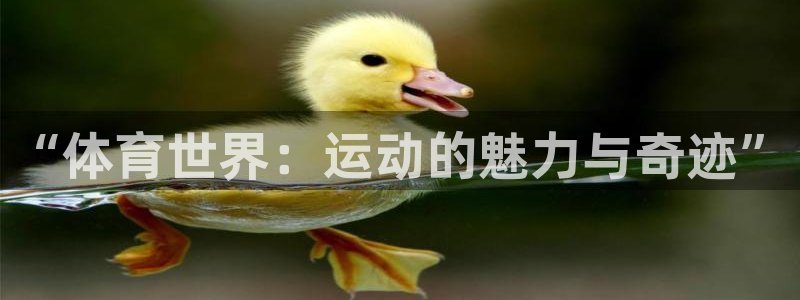 678体育