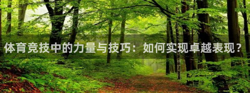 678体育官网地址