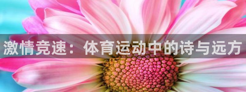 678体育官网