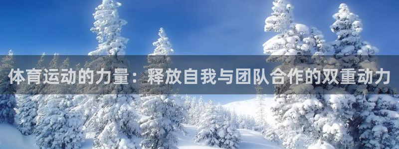 678体育知识：体育运动的力量：释放自我与团队合作的双重动力