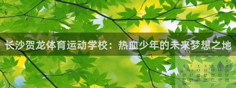 678体育官网下载：长沙贺龙体育运动学校：热血少年的未来梦想之地