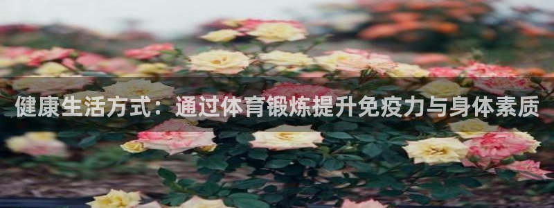 678体育官网：健康生活方式：通过体育锻炼提升免疫力与身体素质
