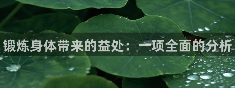 678体育官网下载：锻炼身体带来的益处：一项全面的分析