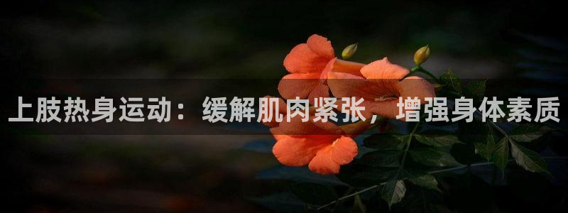 678体育官网：上肢热身运动：缓解肌肉紧张，增强身体素质