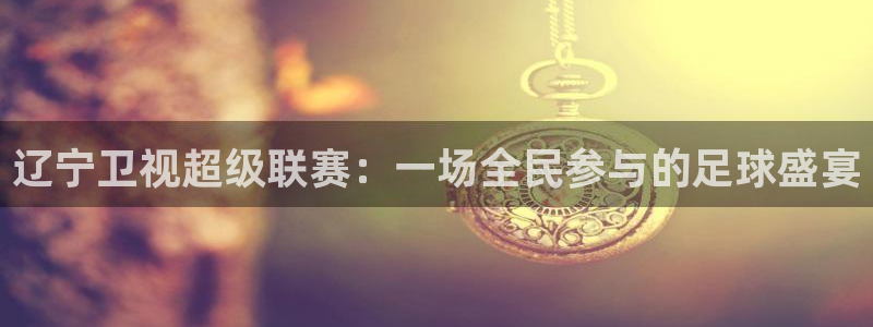 辽宁卫视超级联赛：一场全民参与的足球盛宴