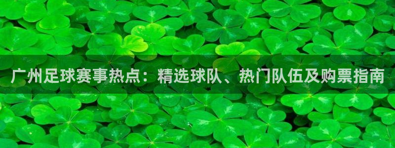  广州足球赛事热点：精选球队、热门队伍及购票指南