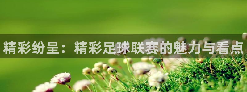 精彩纷呈：精彩足球联赛的魅力与看点