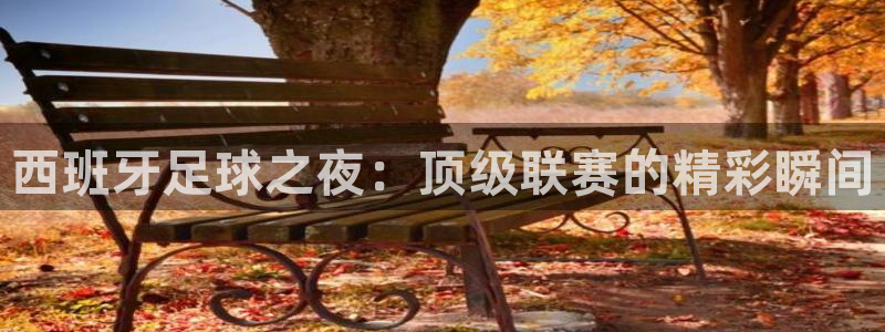  西班牙足球之夜：顶级联赛的精彩瞬间