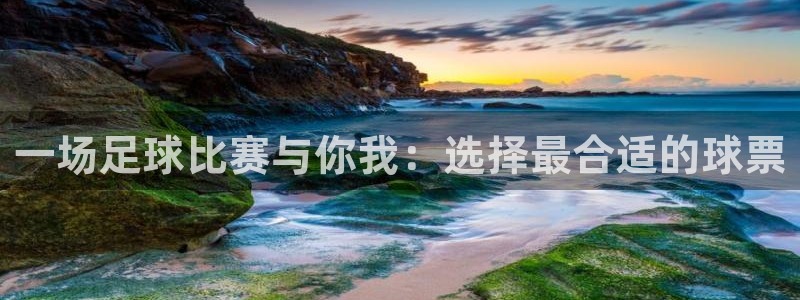 一场足球比赛与你我：选择最合适的球票