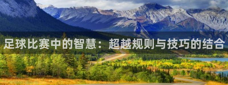  足球比赛中的智慧：超越规则与技巧的结合