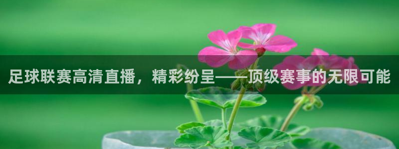 足球联赛高清直播，精彩纷呈——顶级赛事的无限可能