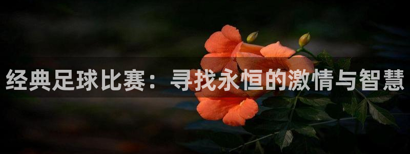 经典足球比赛：寻找永恒的激情与智慧