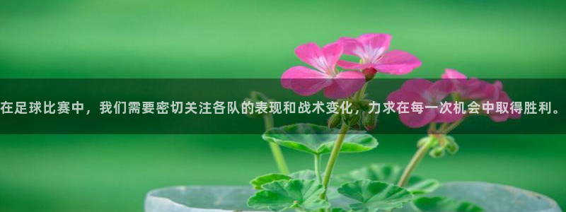在足球比赛中，我们需要密切关注各队的表现和战术变化，力求在每