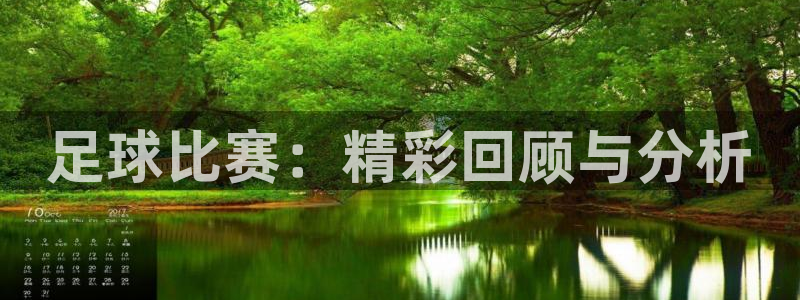  足球比赛：精彩回顾与分析