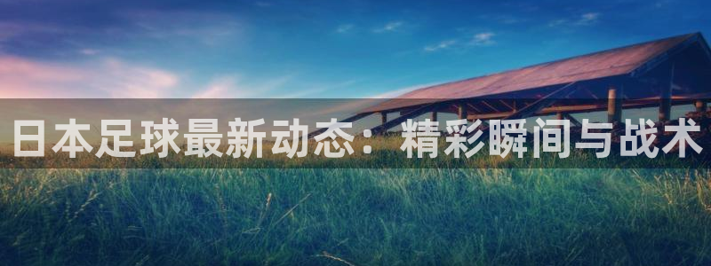 日本足球最新动态：精彩瞬间与战术