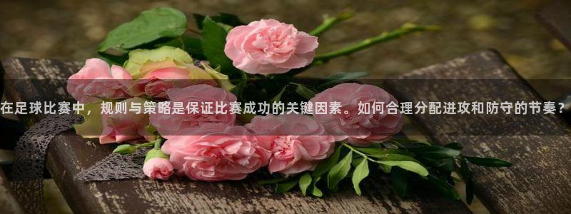 在足球比赛中，规则与策略是保证比赛成