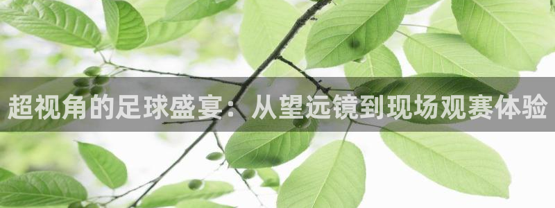 超视角的足球盛宴：从望远镜到现场观赛